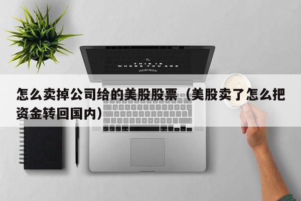 怎么卖掉公司给的美股股票（美股卖了怎么把资金转回国内）