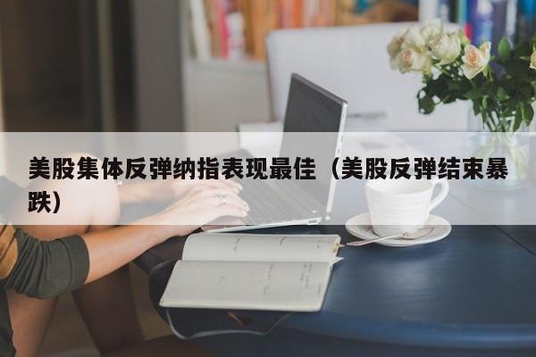 美股集体反弹纳指表现最佳（美股反弹结束暴跌）