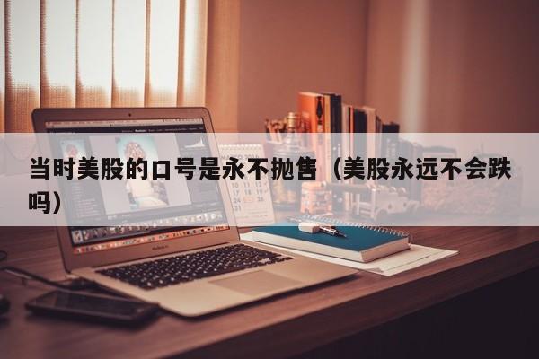 当时美股的口号是永不抛售（美股永远不会跌吗）