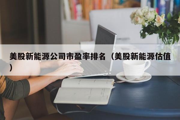 美股新能源公司市盈率排名（美股新能源估值）