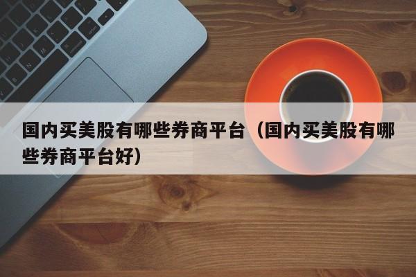 国内买美股有哪些券商平台（国内买美股有哪些券商平台好）