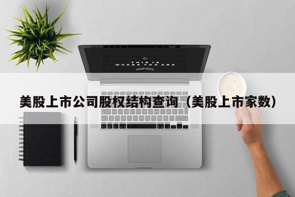 美股上市公司股权结构查询（美股上市家数）