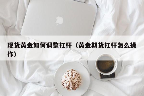 现货黄金如何调整杠杆（黄金期货杠杆怎么操作）