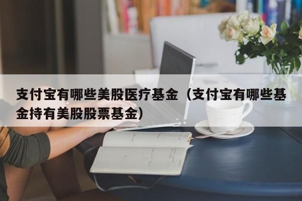 支付宝有哪些美股医疗基金（支付宝有哪些基金持有美股股票基金）